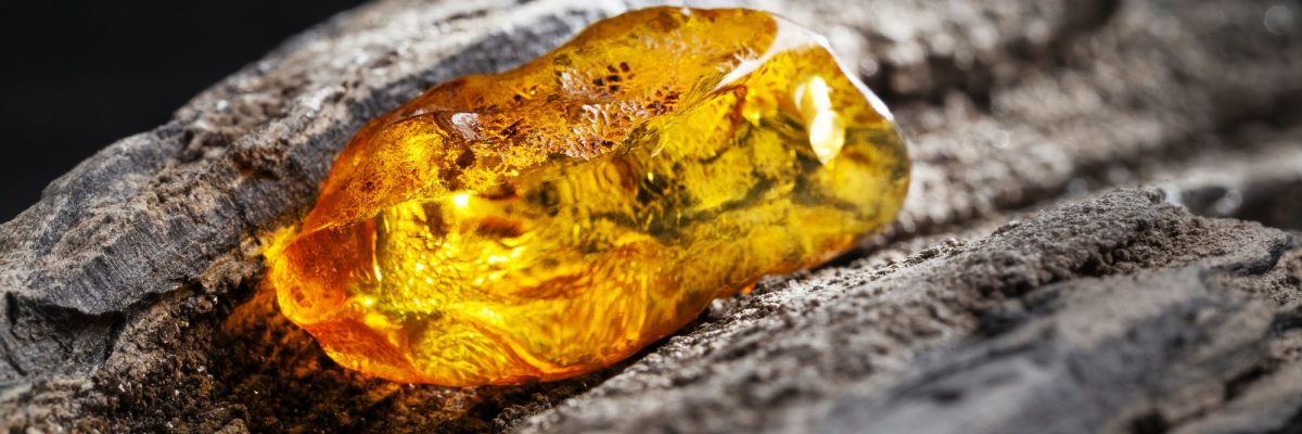 Natural amber. A piece of yellow transparent natural amber on large piece of dark stoned wood